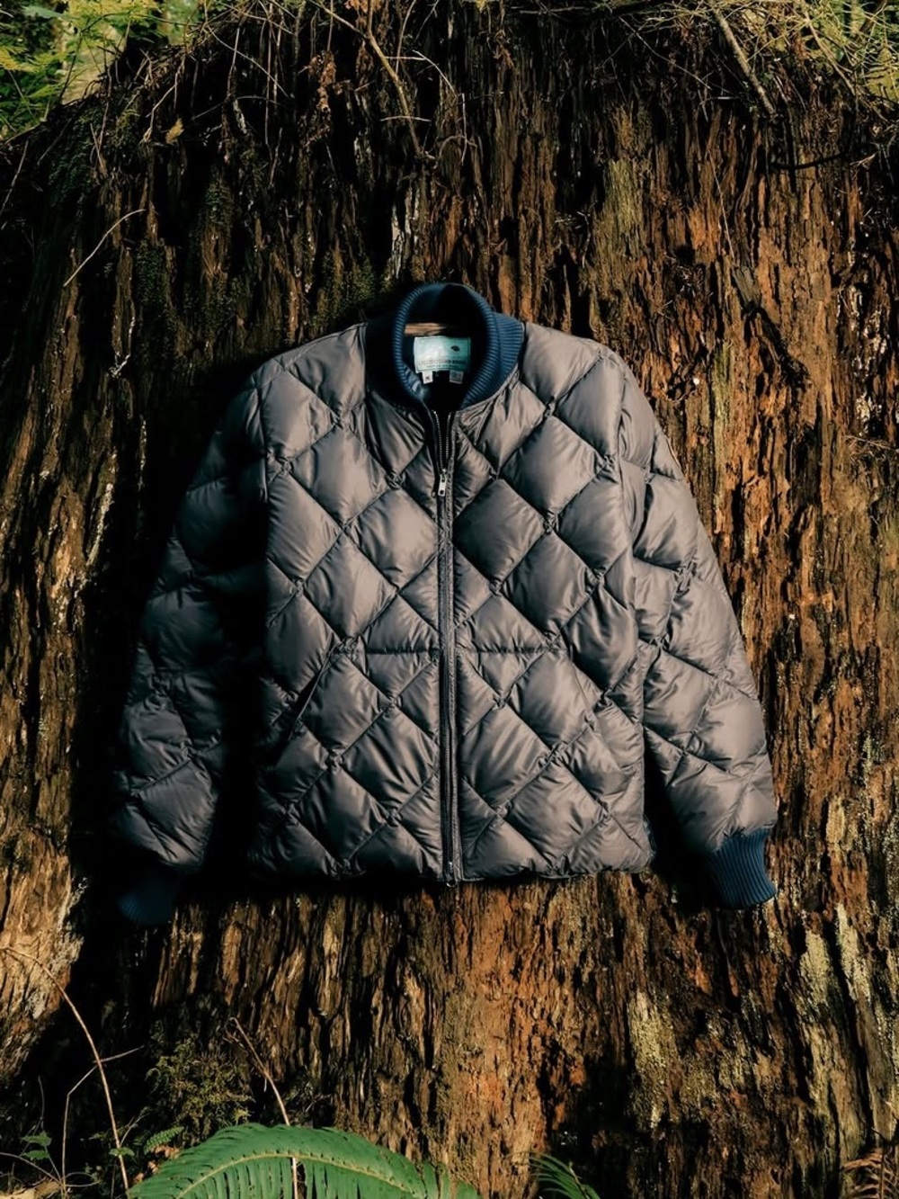 Imogene + Willie x Crescent Down Works Quilted Bomber, Size XS